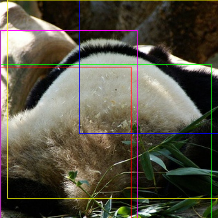 Gazes on an ImageNet Image